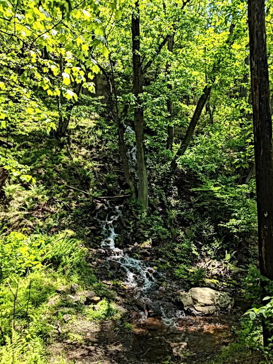 Falls along D&L Trail, East Penn Township