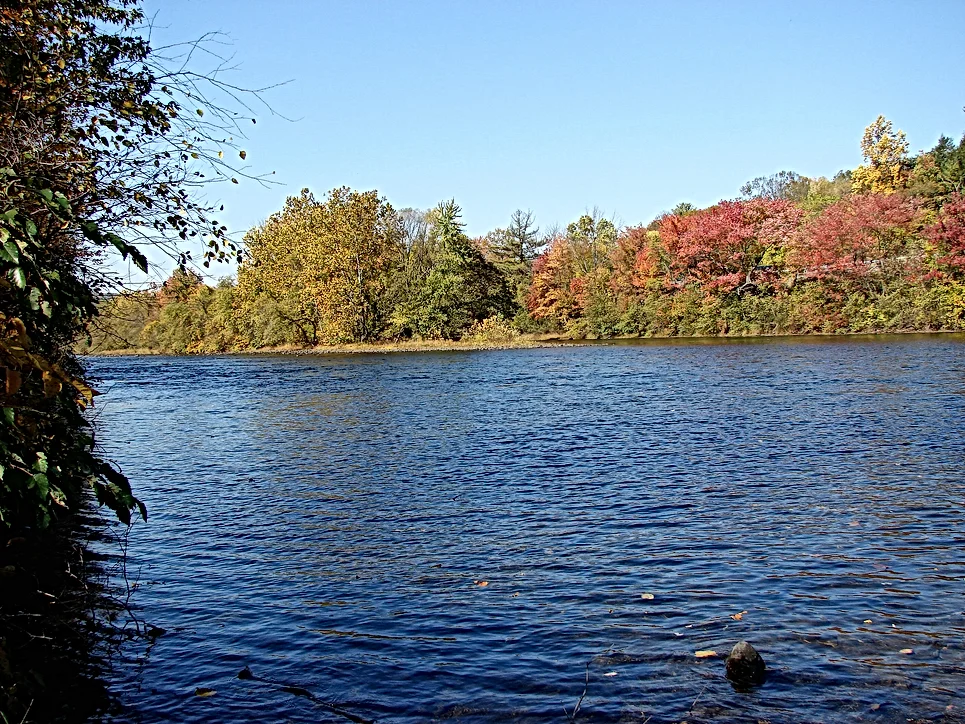 Lehigh River at Riverview Park