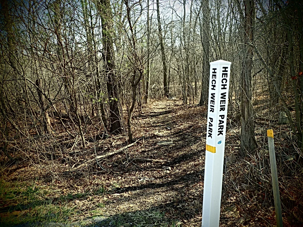 Park Trail