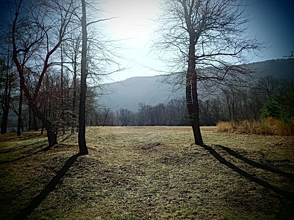 The field at Riverview Park.